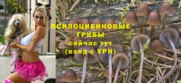 скорость Осинники