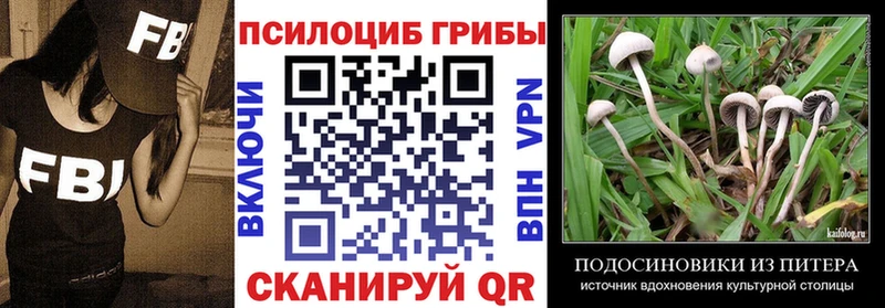 Галлюциногенные грибы Psilocybine cubensis  Шуя 