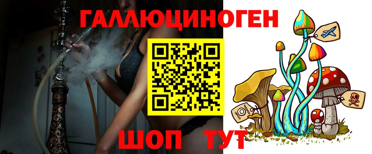 где продают   Галлюциногенные грибы ЛСД  Вход с VPN  Шуя 